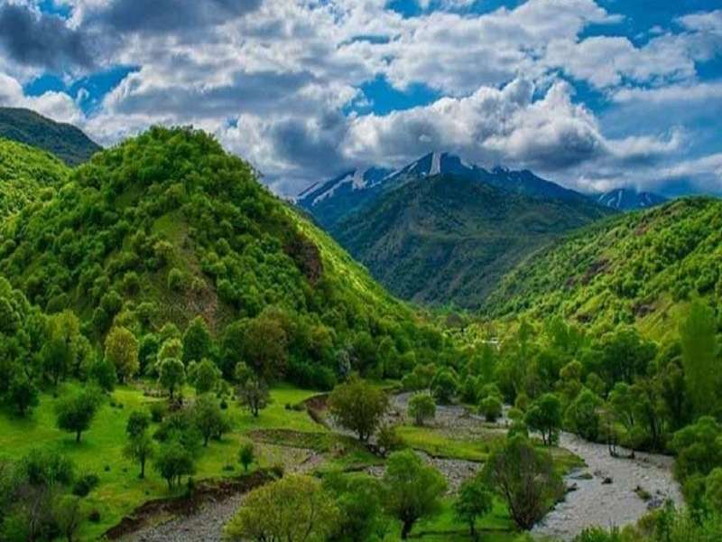 باربری تهران به پیرانشهر با خدمات ویژه